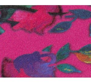 Alfombra 80x120 cm Princesa