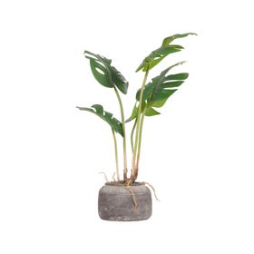 Planta artificial Monstera en maceta cerámica