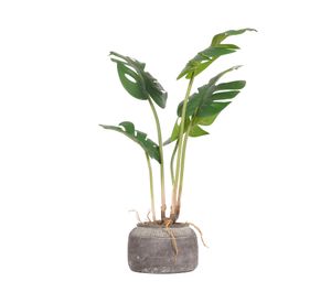 Planta artificial Monstera en maceta cerámica
