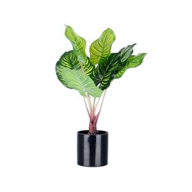 Planta artificial Calatea Outzen