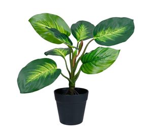 Planta artificial Croton A Outzen.