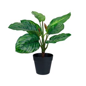 Planta artificial Croton B Outzen.