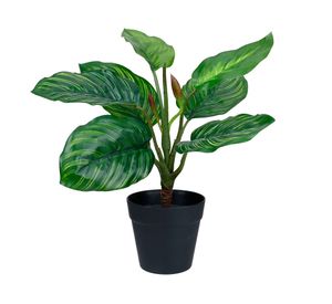 Planta artificial Croton B Outzen.