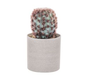 Planta artificial Suculenta E Outzen.