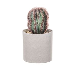 Planta artificial Suculenta F Outzen.