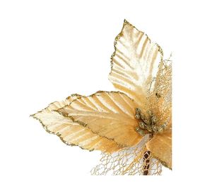 Flor navideña Ponsettia mixta gold