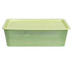 Caja organizadora salvia 13 lt