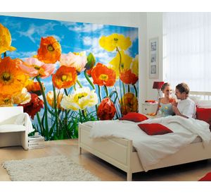Papel fotomural Poppy 8257 Komar