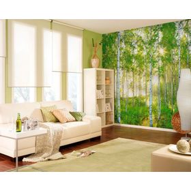 Fotomural 368x254cm Bosque 8519 Komar