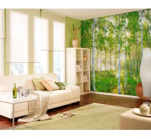 Fotomural 368x254cm Bosque 8519 Komar