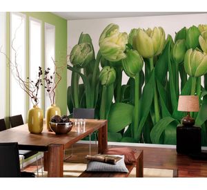 Papel fotomural 368x254 cm 8P tulipanes 8900 Komar