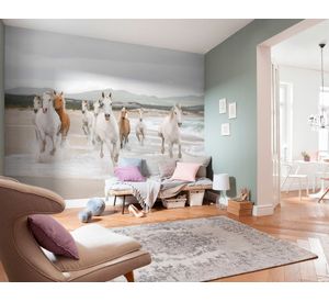 Papel fotomural Caballos 8986 Komar
