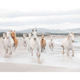 Papel fotomural Caballos 8986 Komar