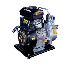 Motobomba gasolina GWP10 3HP