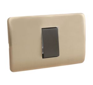 Interruptor simple iridium bronceado Schneider