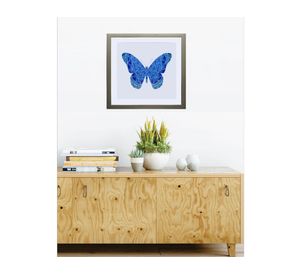 Cuadro Mariposa celeste 50x50 cm