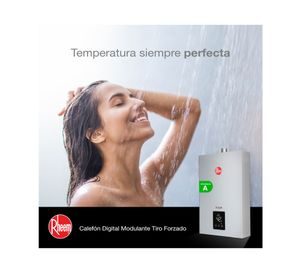 Calefont ionizado tiro forzado 12 litros gas natural Modulante Rheem