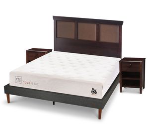 Cama europea 2 plazas Cocopedic + Set Torino chocolate Cic.
