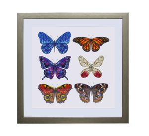 Cuadro 50x50 cm conjunto mariposas Ronda