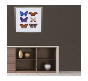 Cuadro 50x50 cm conjunto mariposas Ronda