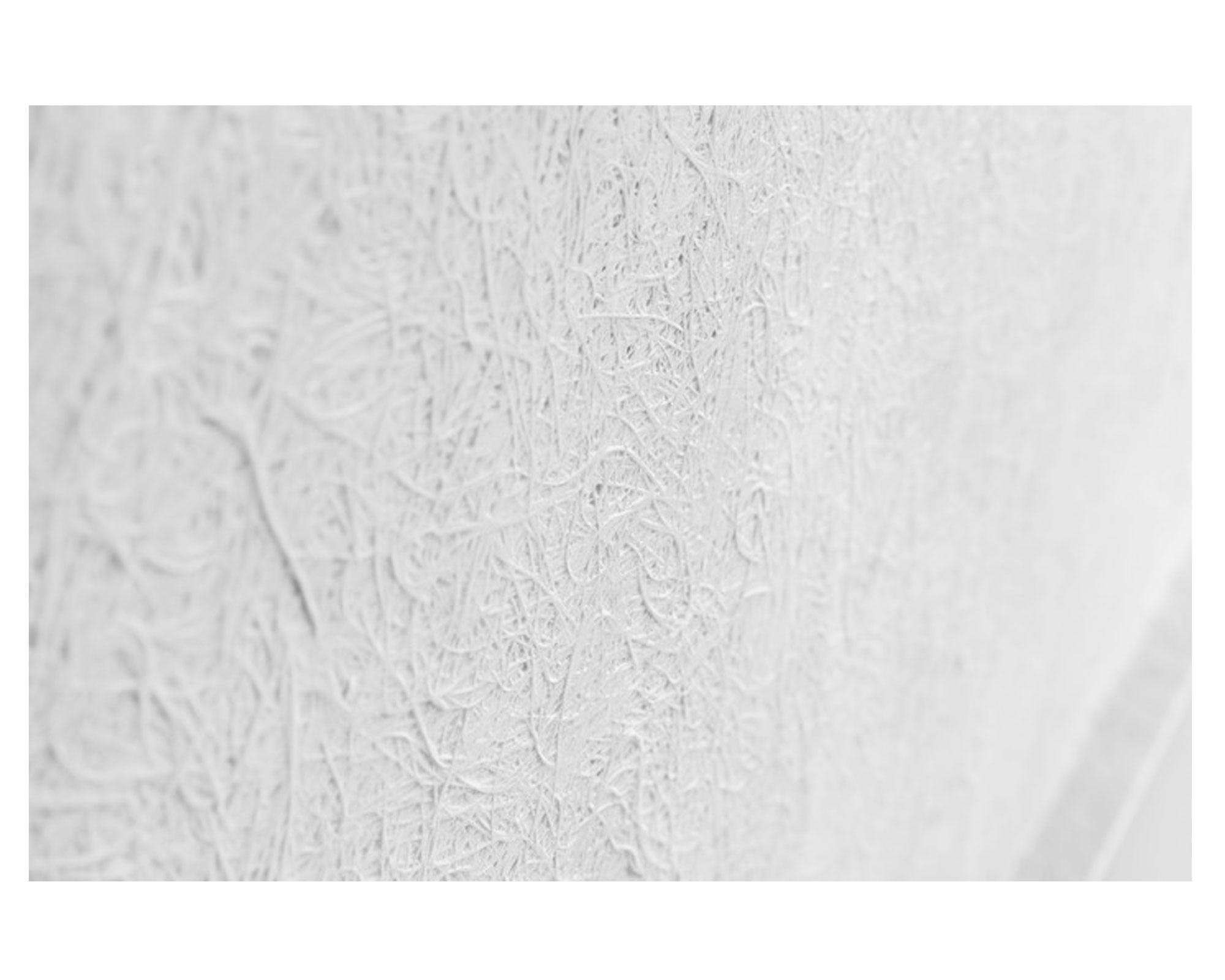 Tina 80x163 cm Piero Norglas