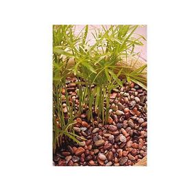 Piedra ágata 2 kilos