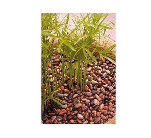 Piedra ágata 2 kilos