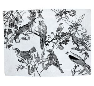 Individual Aves chilenas 48x36 cm 4 un.