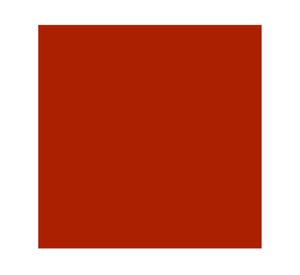 Barniz marino 400 ml cedro brillante Tricolor