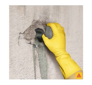 Acelerador de fraguado 4,5 lt sika 2 Sika.