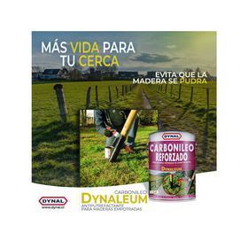 Protector madera 1 tineta Dynaleum-L pino Dynal