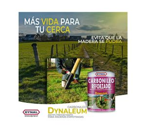 Protector madera 1 tineta Dynaleum-L pino Dynal