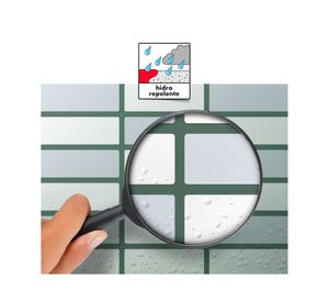 Fragüe helecho 1 kilo bekron