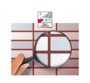 Fragüe guinda 1 kilo bekron