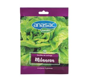Semilla lechuga milanesa 5 g