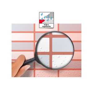 Fragüe quilicura 1 kilo bekron