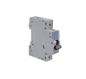 Interruptor automático 20A DE/C Legrand