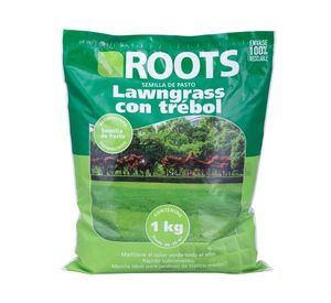 Semilla pasto lawngrass trébol corriente desinfectada 1 kilo Roots
