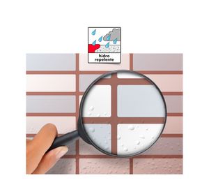 Fragüe rose 1 kilo Bekron