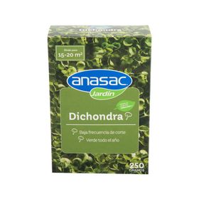 Semilla prado Dichondra 250 g