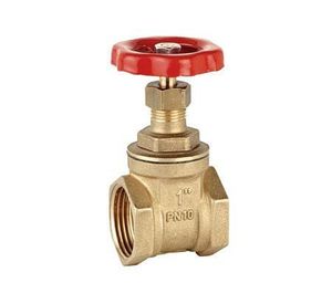 Válvula compuerta 1/2 Bronzzo