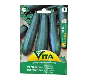 Semilla corriente calabacín verte noire maraichere desinfectada x 5g vita