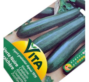 Semilla corriente calabacín verte noire maraichere desinfectada x 5g vita