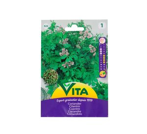 Semilla corriente desinfectada cilantro vita