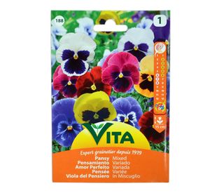 Semilla corriente sin desinfectar pensamiento variado vita