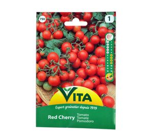 Semilla corriente tomate cereza vita