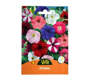 Semilla corriente petunia enana variada desinfectada x0.4g vita