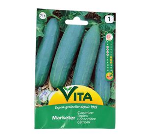 Semilla corriente desinfectada pepino medio largo mercado verde vita