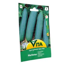Semilla corriente desinfectada pepino medio largo mercado verde vita