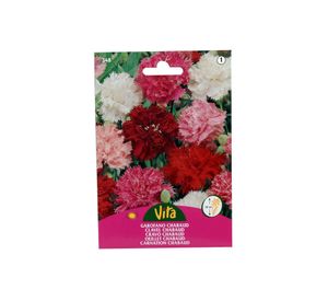 Semilla corriente clavel chabaud variado sin desinfectar x0.6 g vita